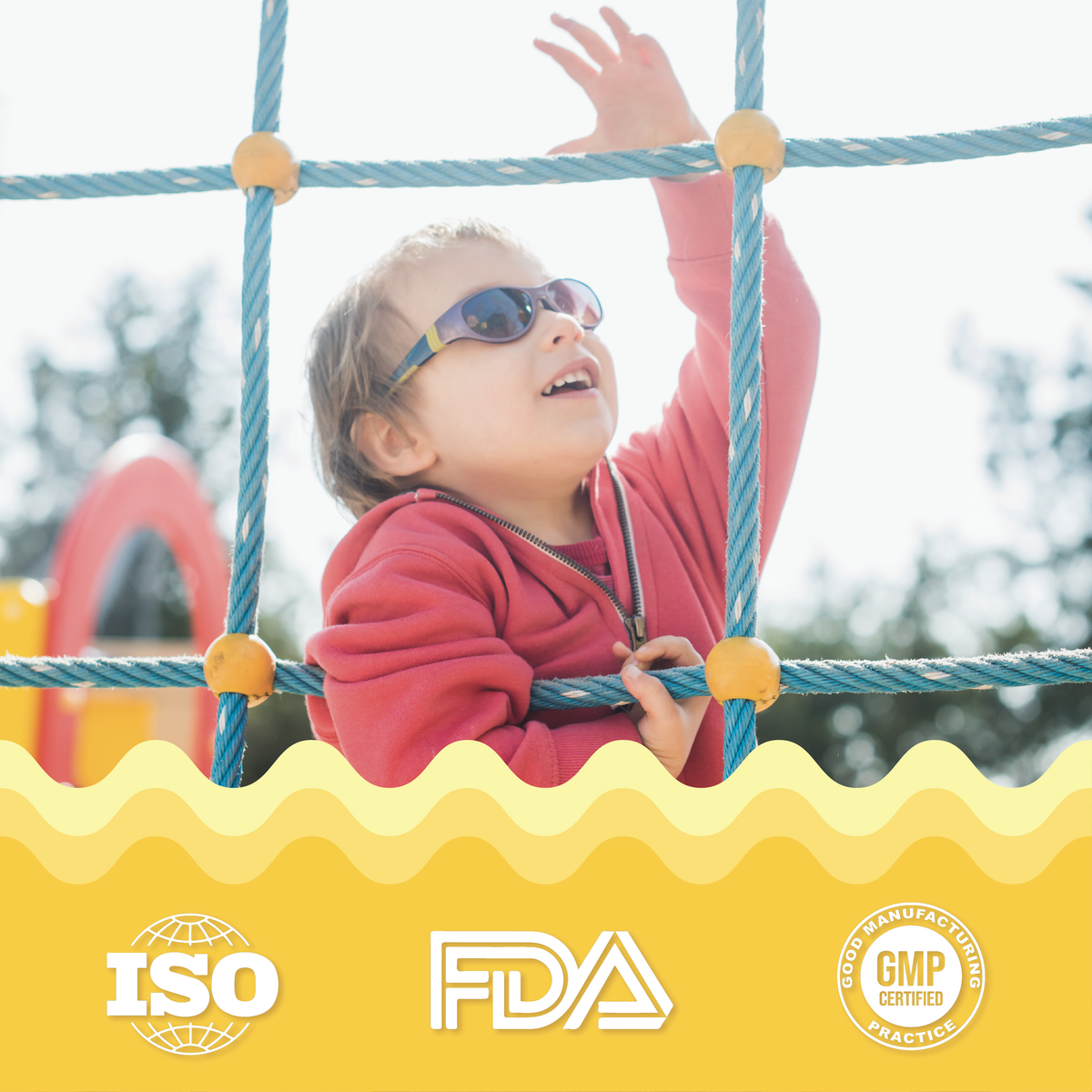 ISO, FDA-registered facility, and GMP-certified quality standards behind Vitavora Junior Neuro Immunity Gummies.