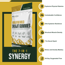 7-in-1-Synergy-Gummies-for-Natural-Energy-and-Vitality
